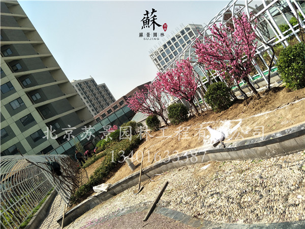 施工現(xiàn)場圖04
