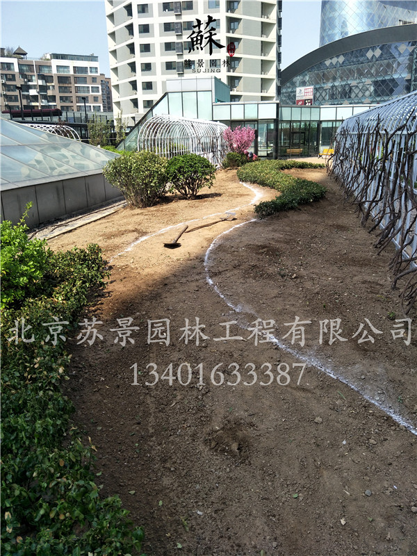 施工現(xiàn)場圖05